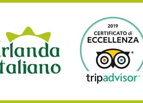 certificato eccellenza 2019 Irlanda in Italiano