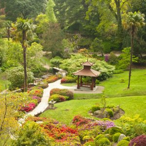 giardino giapponese di Powerscourt