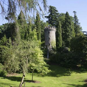 torre di Powerscourt