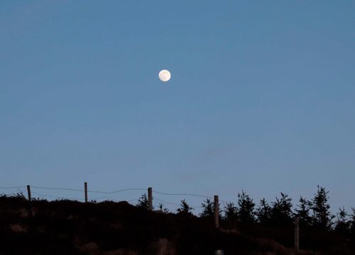 luna scaled Irlanda
